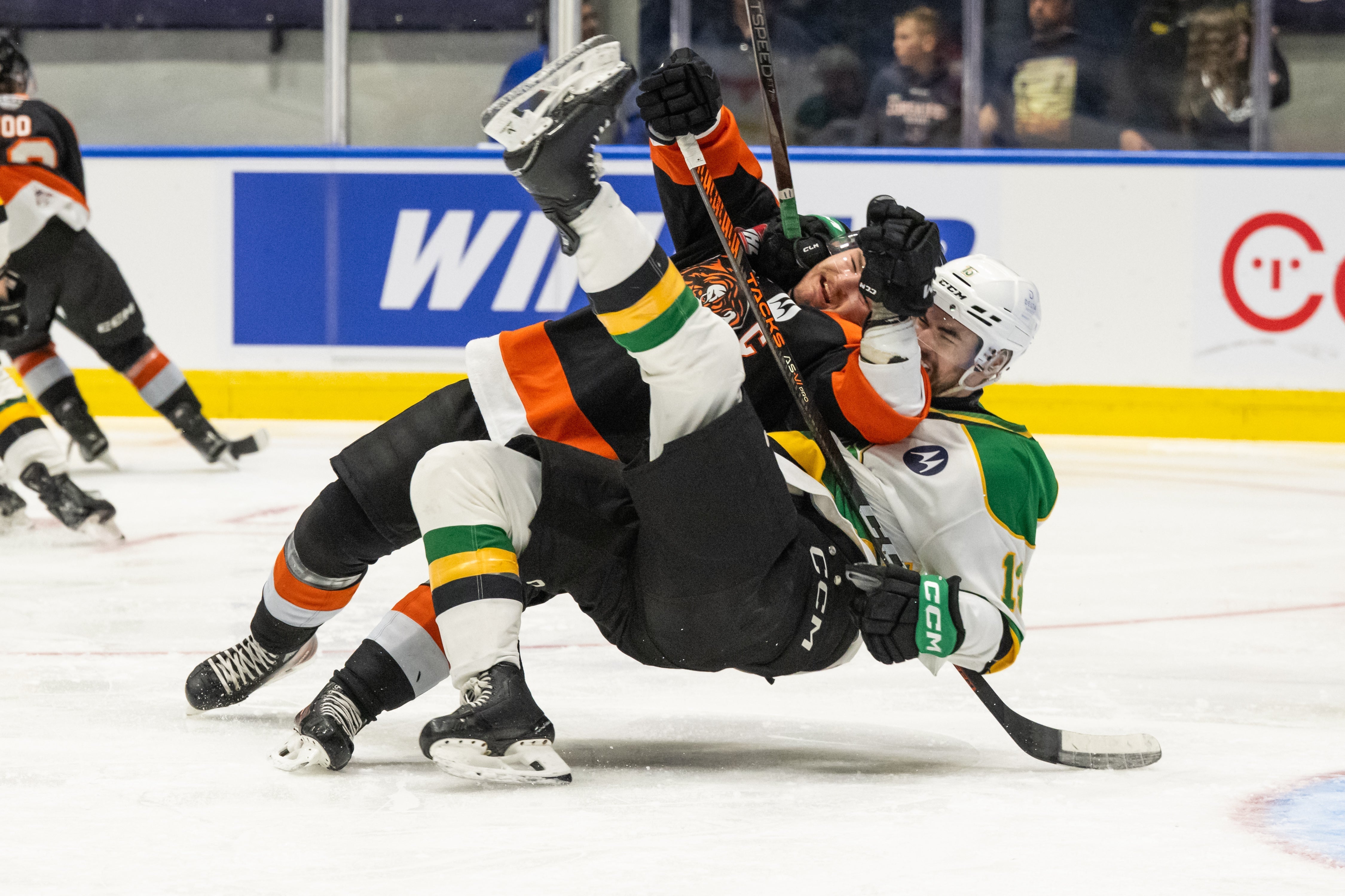Les Tigers dévorent les Knights et filent droit en finale